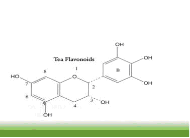 Tea Flavonoids